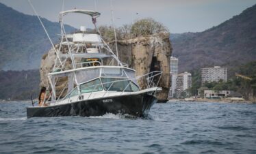 Boat 33 feet